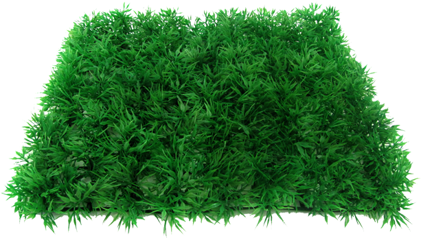 Grama Artificial 25x25 Verde - Liverwort (700x700), Png Download