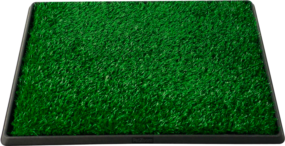 Grama Sintética - Felji Pet Potty Dog Training Grass Pad Zoom Park Patch (1000x584), Png Download