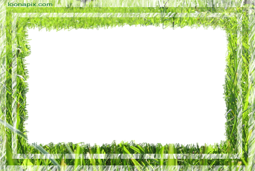 Photo Frame - Green Grass - Nikki (500x336), Png Download