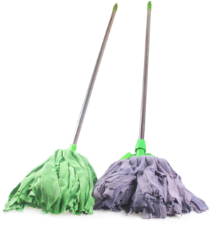 Easy Life 360 Rotating Spin Magic Mop,magic Spin Mop - Christmas Tree (350x350), Png Download
