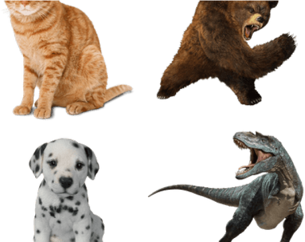 Vivid Arts Pet Pal Dalmatian Puppy - Resin Garden Ornament (640x480), Png Download