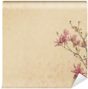 Magnolia Flower With Old Antique Vintage Paper Background - Cherry Blossom (400x400), Png Download