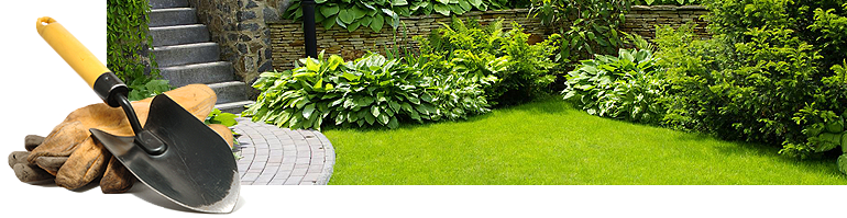 Image - Garden Creation (770x199), Png Download