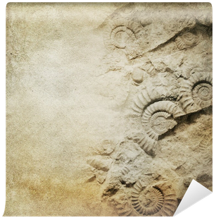 Vintage Paper Background With Fossils Wall Mural • - Das Rad Des Lebens: Und Seine Zyklen (400x400), Png Download