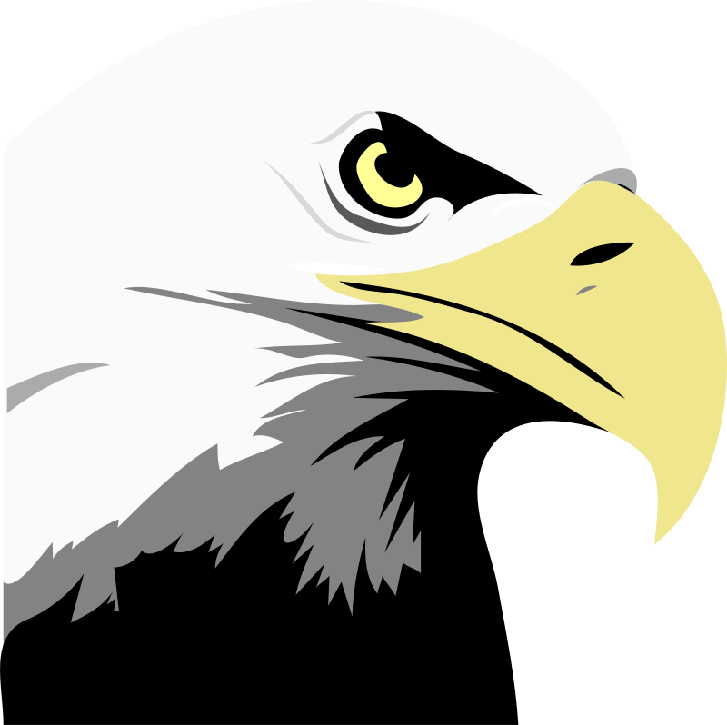 Eagle Clip Art Download Small Png Medium Png Large - Eagle Eye (600x599), Png Download