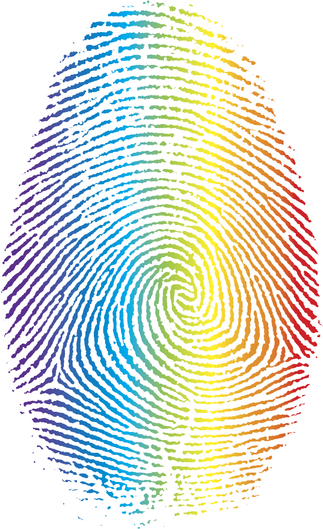 Fingerprint Transparent Colour - Fingerprint Fibonacci (784x1133), Png Download