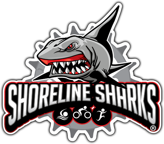 Shorline Sharks - Shark Racing Logo (541x477), Png Download