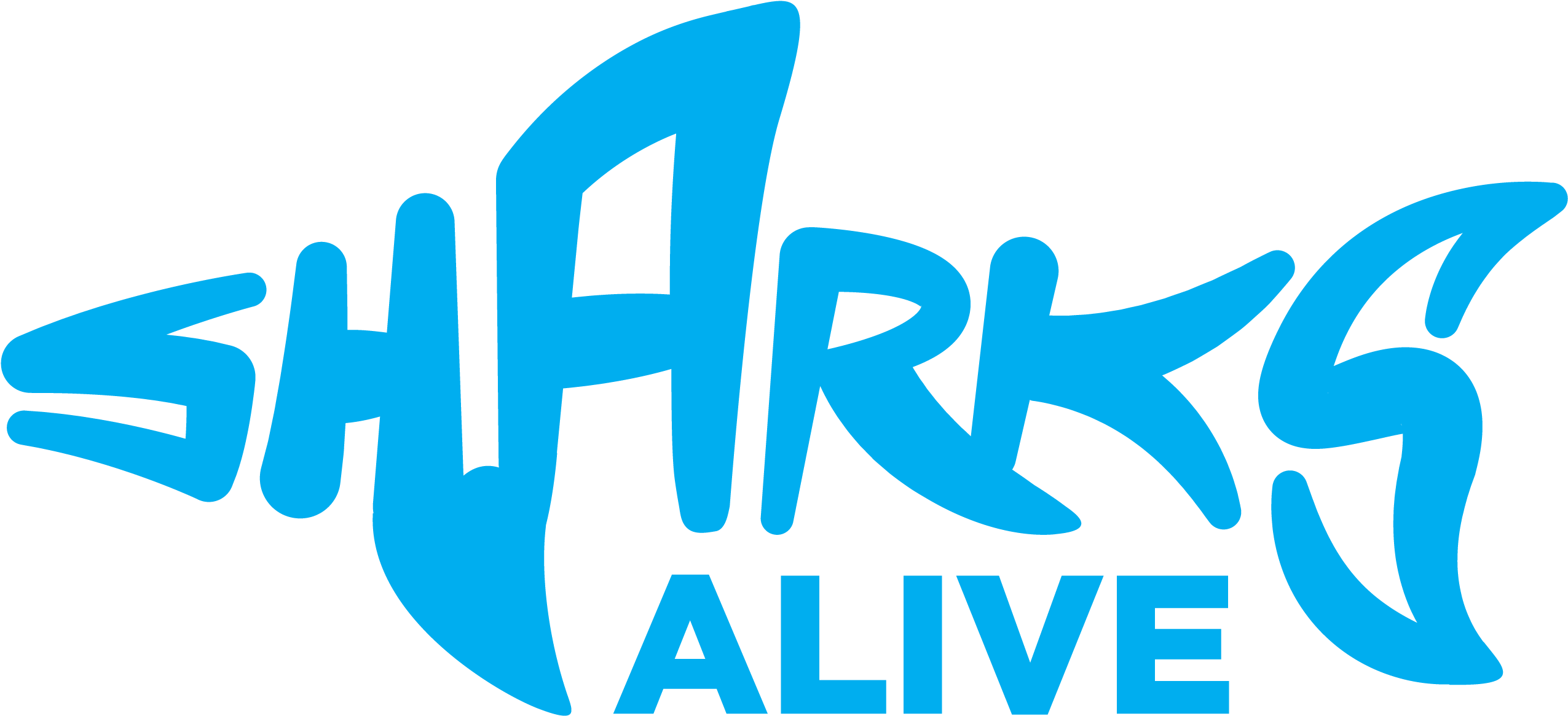 Sharks Alive - Sharks Font (2550x1222), Png Download