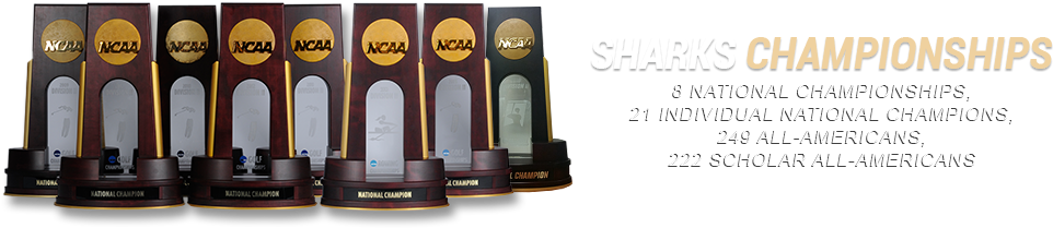 Below Top Story Promotions - Eye Shadow (1000x255), Png Download