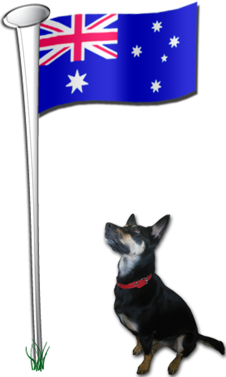 "flag Arrived Today And Is Already Flying Proudly From - Australian Flag On Pole (450x750), Png Download