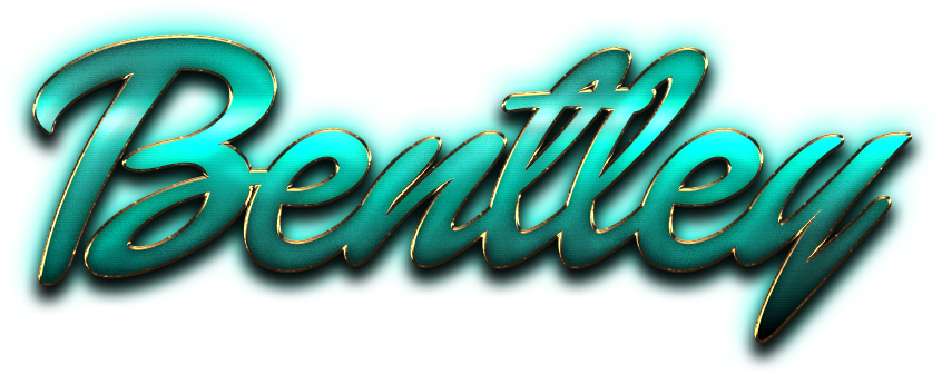 Happy Birthday Gift Png (1568x400), Png Download