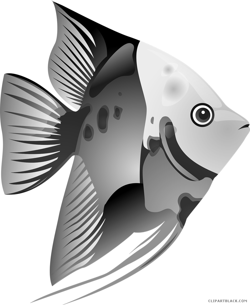 Colorful Tropical Fish Png Free Download - Tropical Fish Clipart (800x975), Png Download