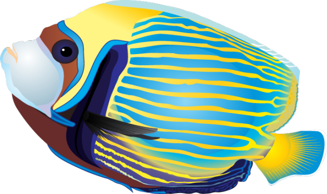 Clip Art Of A Tropical Fish - Tropical Fish Clip Art (639x380), Png Download