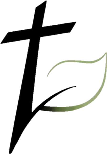 New Church Logo - Portable Network Graphics (816x806), Png Download