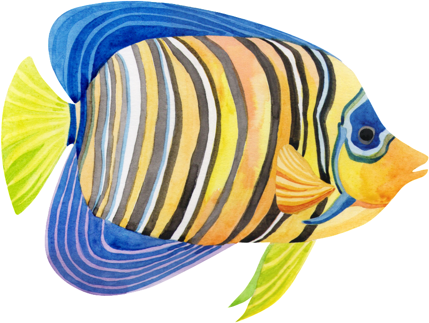 Hand Painted A Striped Fish Png Transparent - Portable Network Graphics (1024x796), Png Download
