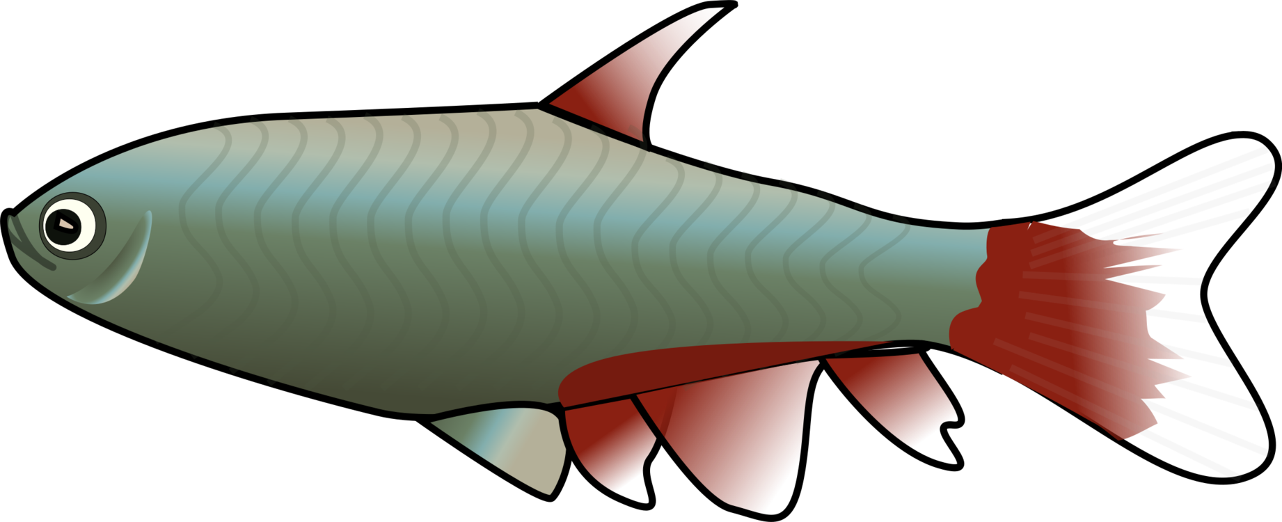 Animated Fish Clipart - Clipart Fish (800x325), Png Download