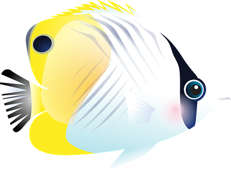 Fish Tropical Fish Sea Exotic Fish Aquariu - Imagenes De Los Peses Del Mar (455x340), Png Download