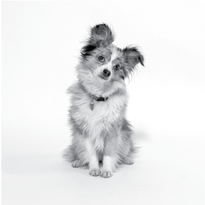 Coco - Portable Network Graphics (576x576), Png Download