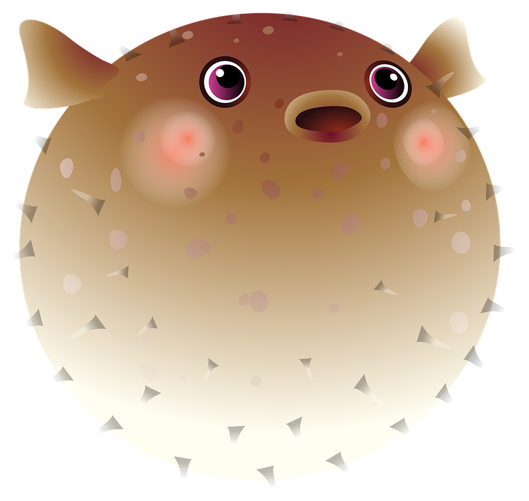 Fish, Tropical Fish, Sea, Exotic Fish, Aquarium - Puffer Fish Clip Art Png (760x720), Png Download