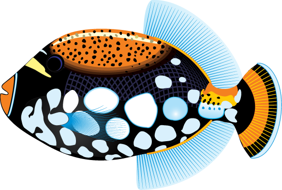 Tropical Fish Clipart - Tropical Fish Clip Art (583x393), Png Download