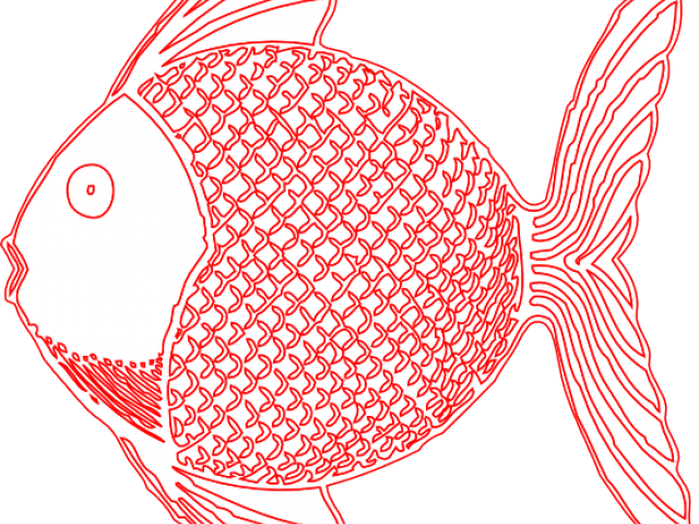 Tropical Fish Art - Art (640x480), Png Download