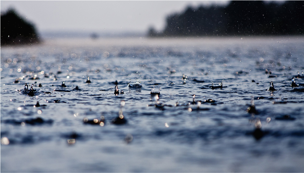 Score 50% - Raindrops In A Puddle (1000x1000), Png Download