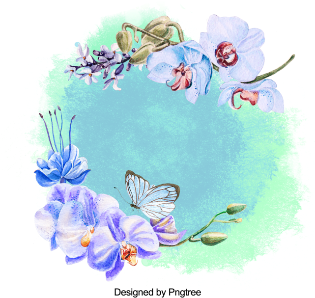 Hermosa Mano De Pintura De Acuarela Marco - Mein Aloha Dschungel-vogel-garten Porzellanteller (640x640), Png Download