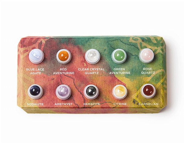 Previous - Macro Photography (700x900), Png Download