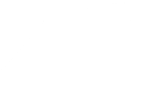 Queensland Government Logo White (600x518), Png Download