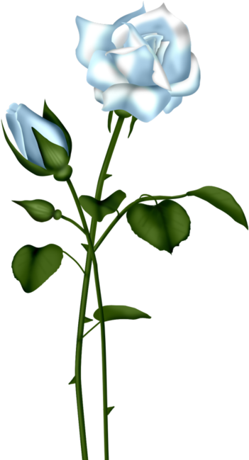 Blue - Light Blue Rose With Stem (438x699), Png Download