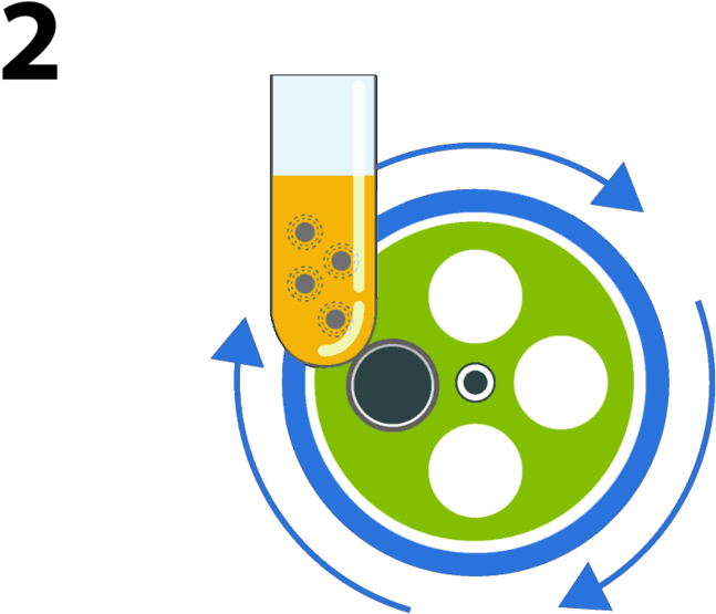 Stem Cell Steps 2 3 - Stem Cell (1000x748), Png Download