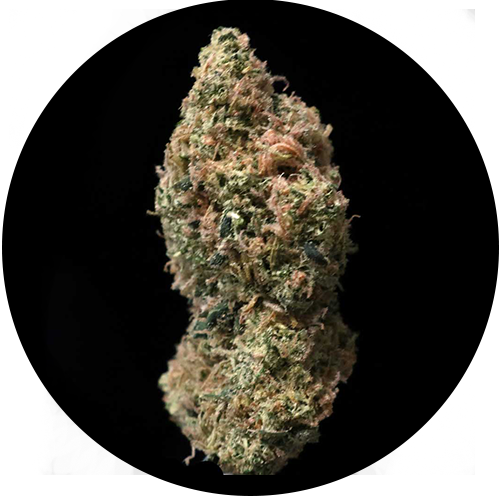 Skunk Candy Haze - High Mountain Health (500x500), Png Download