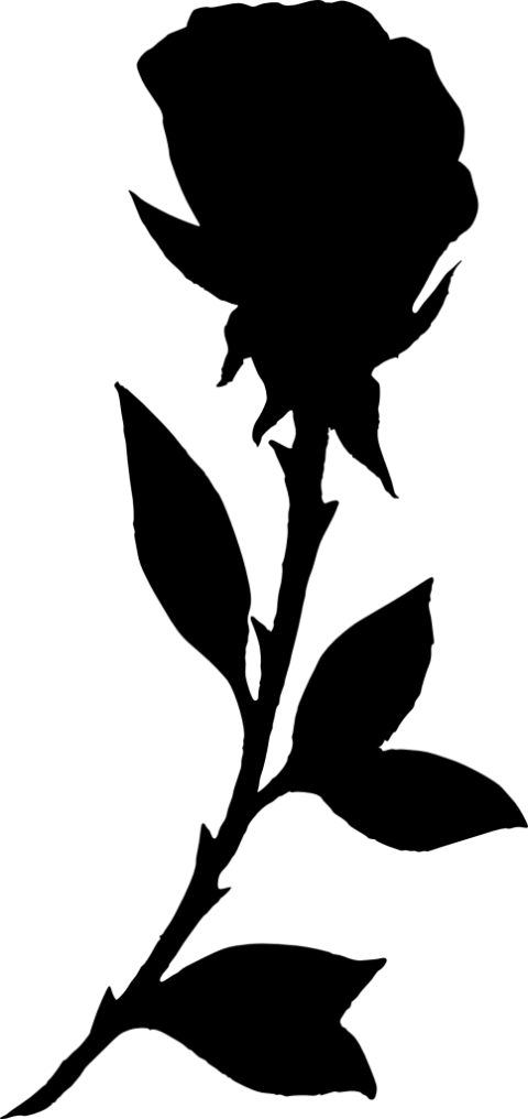 Free Png Rose Silhouette Png Images Transparent - Rose Silhouette Png (480x1016), Png Download