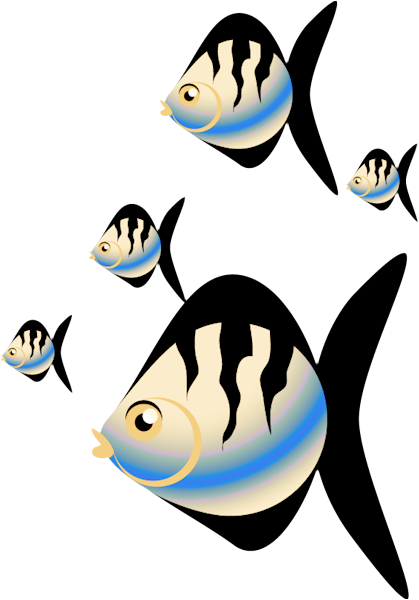Poissons,fish - Portable Network Graphics (419x600), Png Download