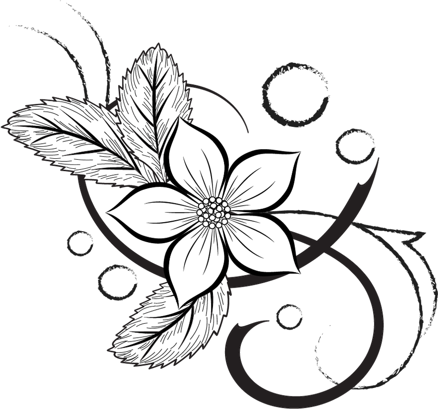 Flowers Drawing Illustrations, Png File - Illustration (877x853), Png Download