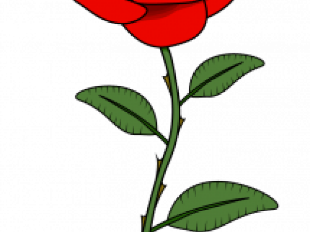 Rose Sticker (640x480), Png Download