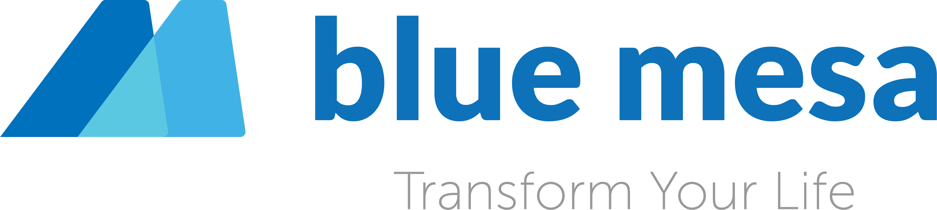 Blue Mesa Health Logo - Blue Mesa Health Inc. (3737x837), Png Download