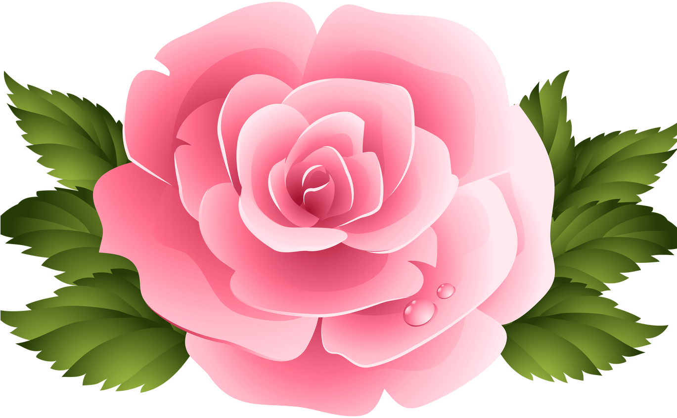 Pink Rose Clipart Png Image Gallery Yopriceville High - Purple Roses Clipart (1368x855), Png Download