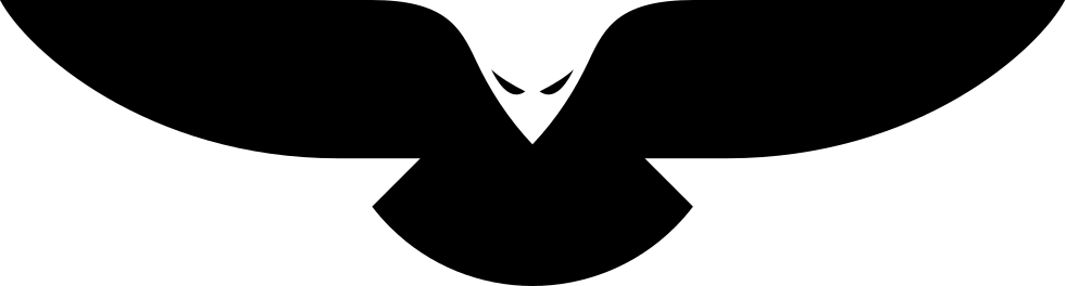 Eagle Eagle Comments - Portable Network Graphics (981x264), Png Download