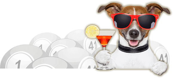 Bingo - Labor Day Doctors (580x264), Png Download