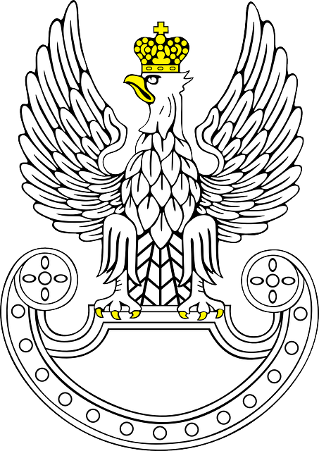 Symbol, Eagle, Bird, Wing, Wings, Animal, Eagles - Wojska Obrony Terytorialnej Logo (453x640), Png Download