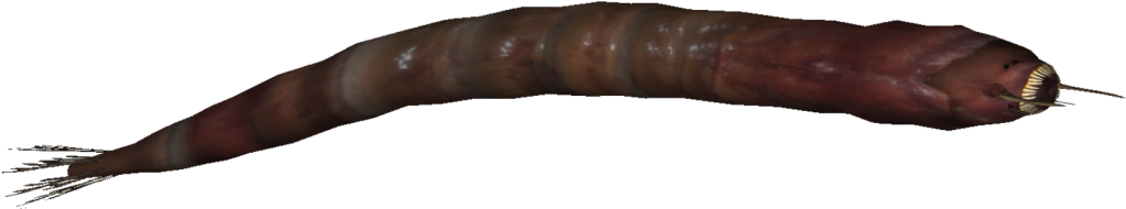 Mongolian Death Worm - Caterpillar (1024x1024), Png Download