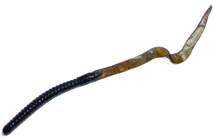 Dc Henry Worm Quality - Marine Worms Transparent (800x500), Png Download