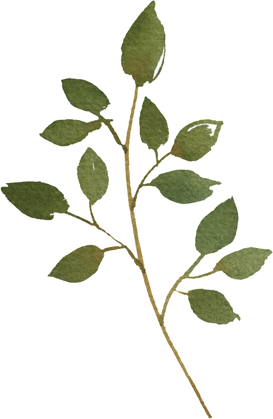 Pintado A Mano Una Hoja Png Transparente - Portable Network Graphics (1024x1451), Png Download