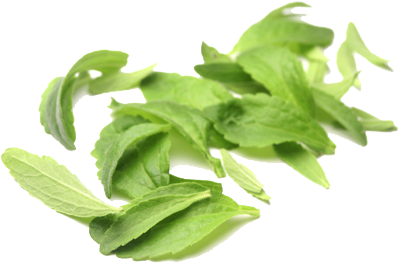 Hoja Seca Sin Fondo - Stevia Leaf (425x293), Png Download
