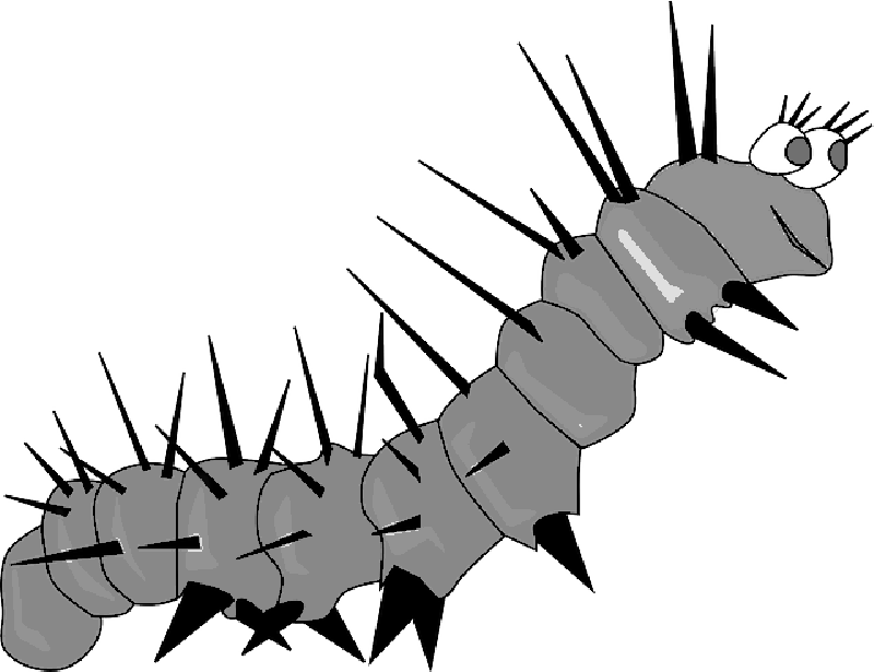 Mb Image/png - Caterpillar (800x615), Png Download