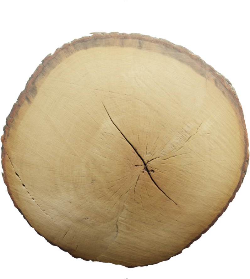 Tree End - Wood (1024x1024), Png Download