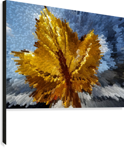 Gold Leaf Canvas Print - Maple Leaf (429x511), Png Download
