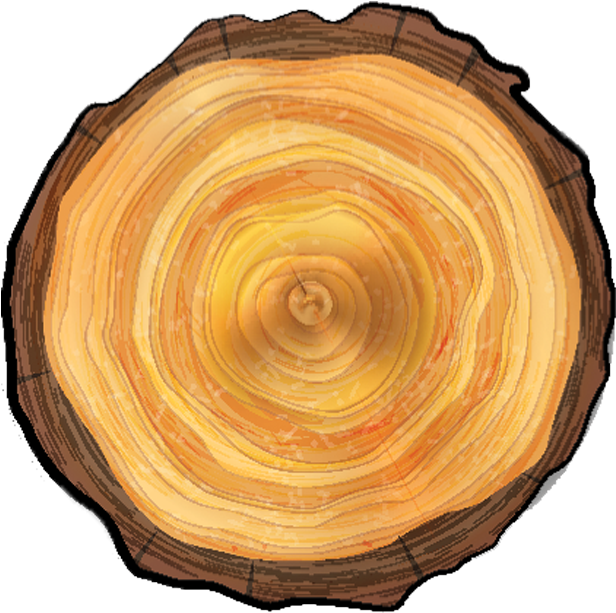 Tree Care Services, Stump Removal - Vector Graphics (768x672), Png Download