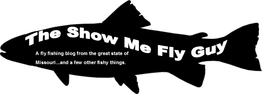 The Show Me Fly Guy - Freshwater Drum (892x321), Png Download